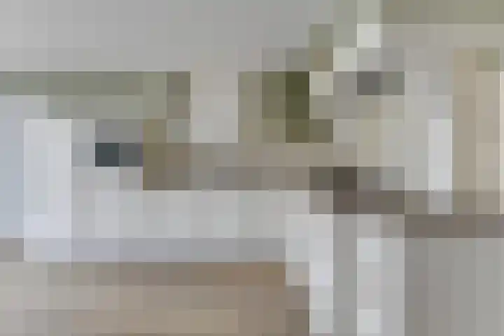 Aurora 8 Opmeer thumbnail 15