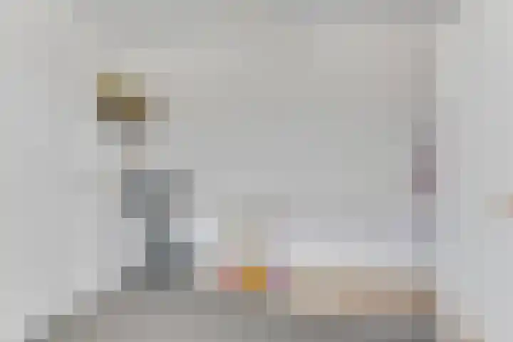 Aurora 8 Opmeer thumbnail 35