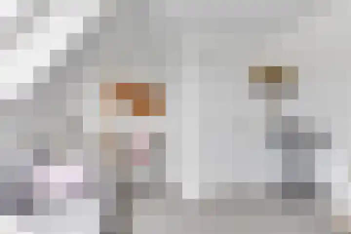 Aurora 8 Opmeer thumbnail 36