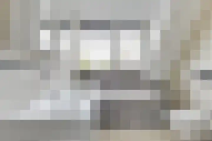 Aurora 8 Opmeer thumbnail 4