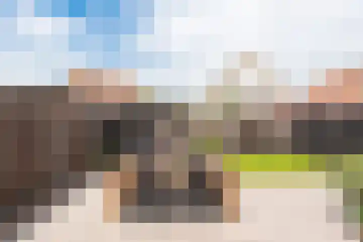 Aurora 8 Opmeer thumbnail 41