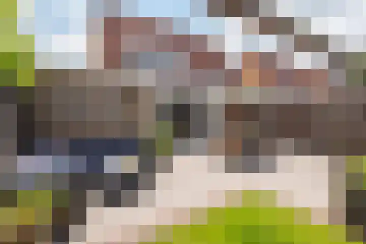 Aurora 8 Opmeer thumbnail 47