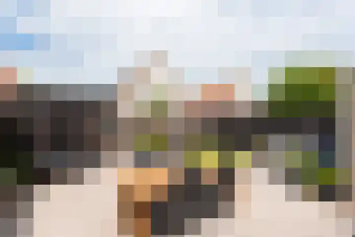 Aurora 8 Opmeer thumbnail 6