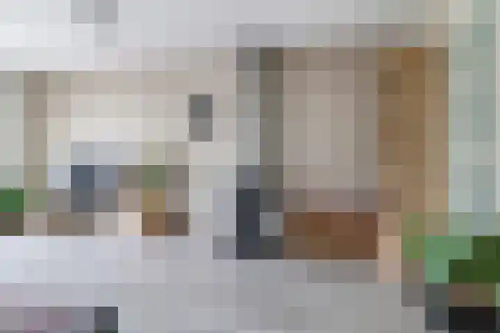 Ausemsstraat 19 Driel thumbnail 18