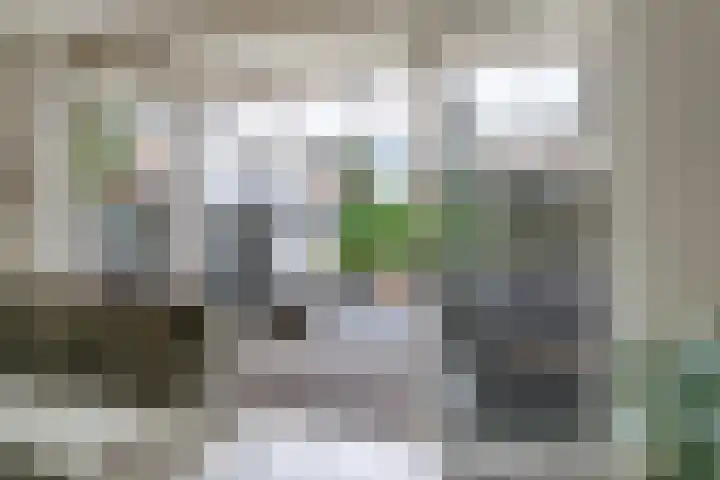 Ausemsstraat 19 Driel thumbnail 19