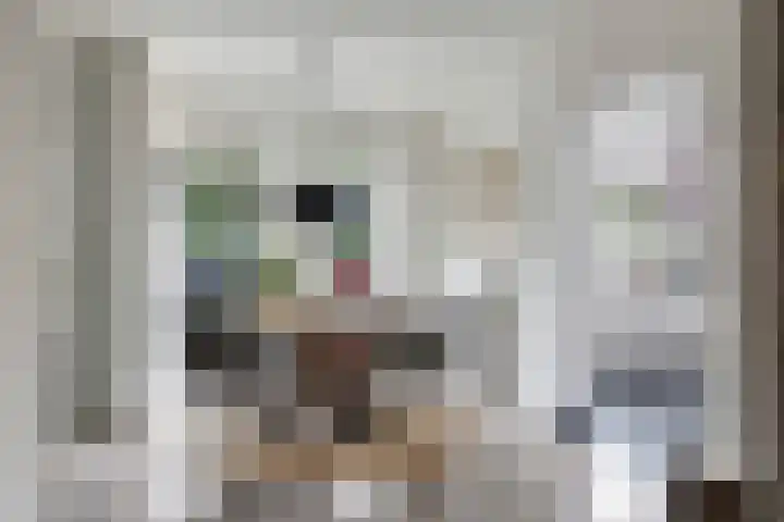 Ausemsstraat 19 Driel thumbnail 22