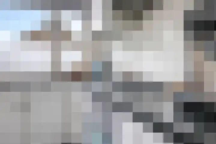 Ausemsstraat 19 Driel thumbnail 25