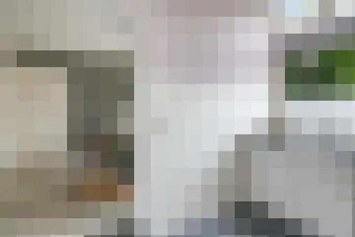 Ausemsstraat 19 Driel thumbnail 26
