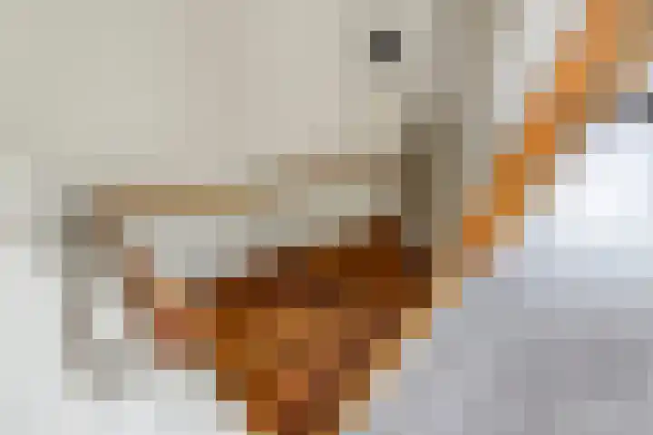 Ausemsstraat 19 Driel thumbnail 30