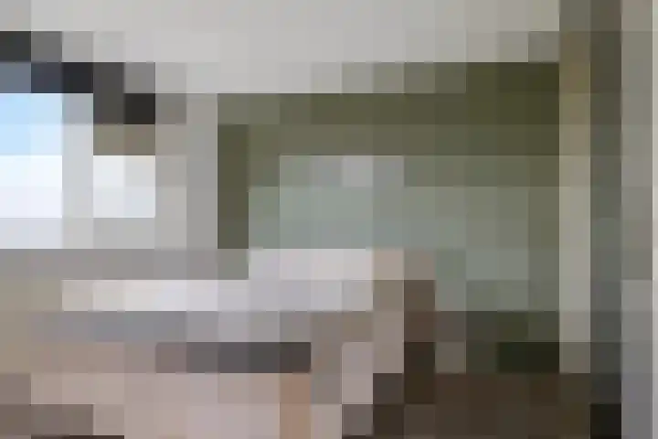 Ausemsstraat 19 Driel thumbnail 32