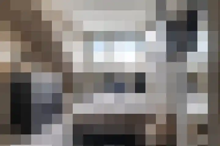 Ausemsstraat 19 Driel thumbnail 38