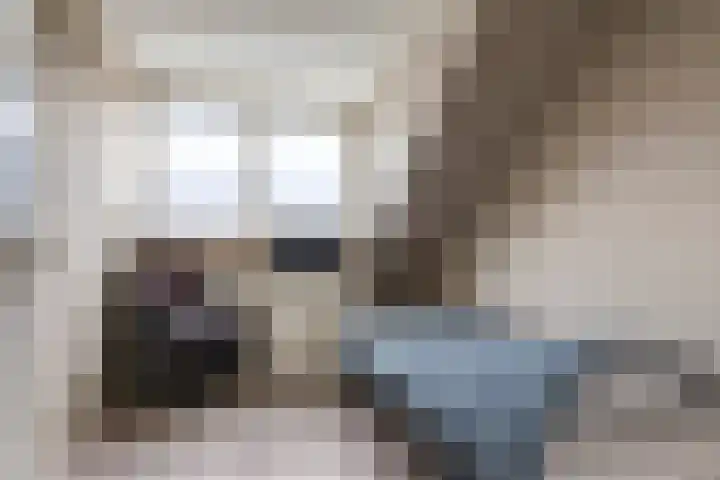 Ausemsstraat 19 Driel thumbnail 39