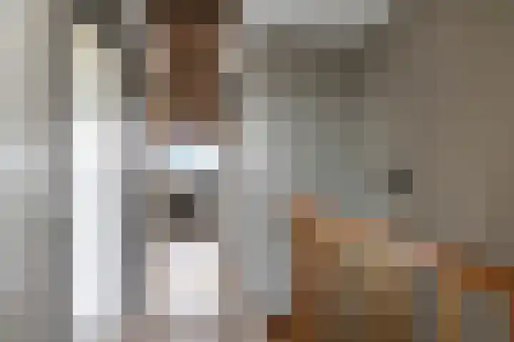 Ausemsstraat 19 Driel thumbnail 40