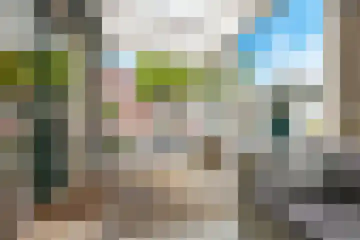 Ausemsstraat 19 Driel thumbnail 55