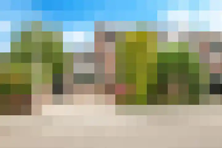 Ausemsstraat 19 Driel thumbnail 60