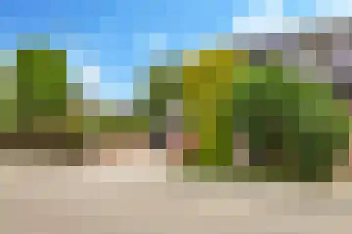 Ausemsstraat 19 Driel thumbnail 64