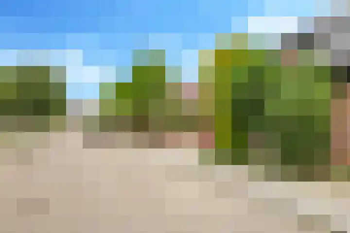 Ausemsstraat 19 Driel thumbnail 65