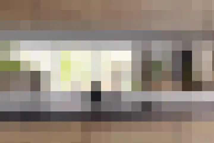 Auwemalaan 63 Leek thumbnail 11