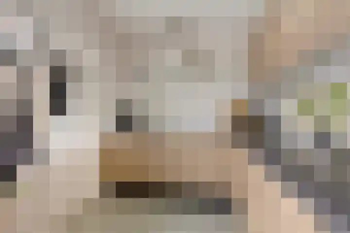 Auwemalaan 63 Leek thumbnail 12