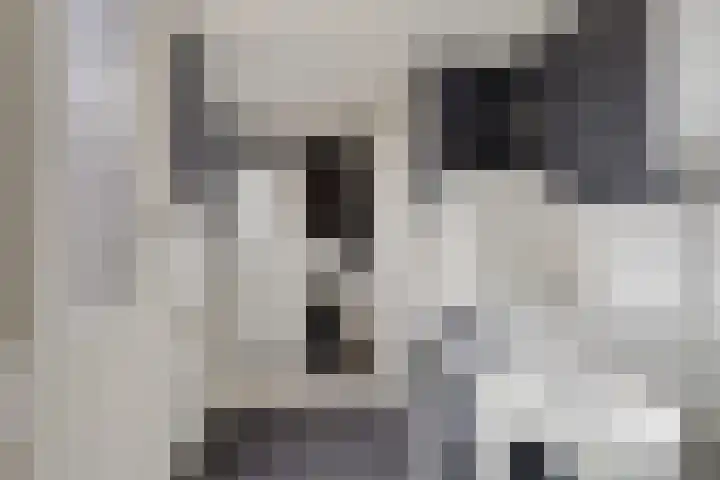 Auwemalaan 63 Leek thumbnail 13