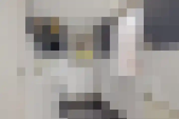 Auwemalaan 63 Leek thumbnail 14