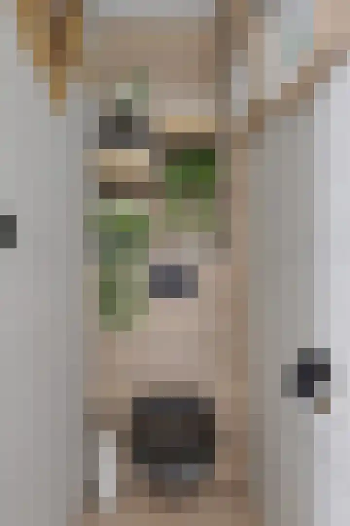 Auwemalaan 63 Leek thumbnail 17
