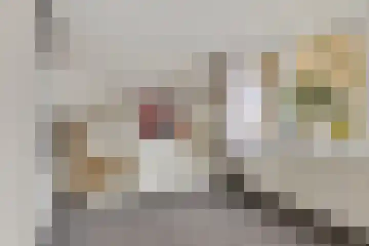 Auwemalaan 63 Leek thumbnail 25