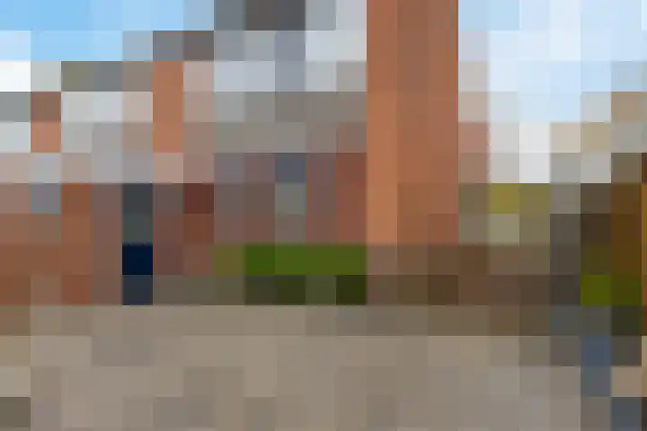 Auwemalaan 63 Leek thumbnail 30