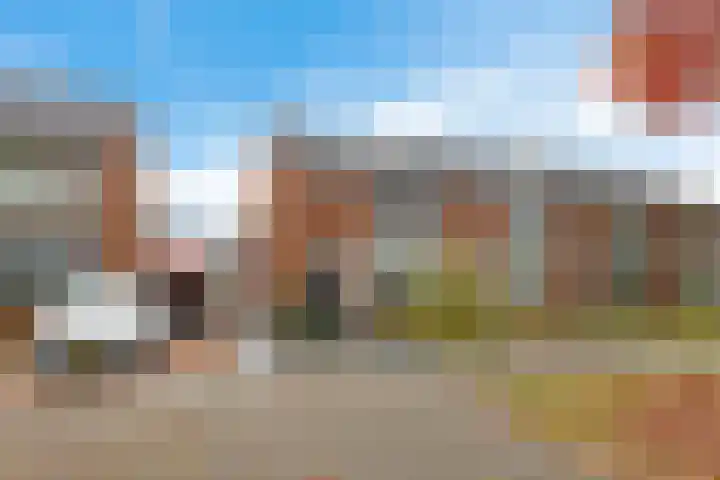Auwemalaan 63 Leek thumbnail 36