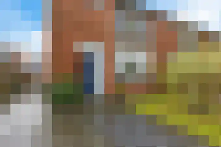 Auwemalaan 63 Leek thumbnail 37