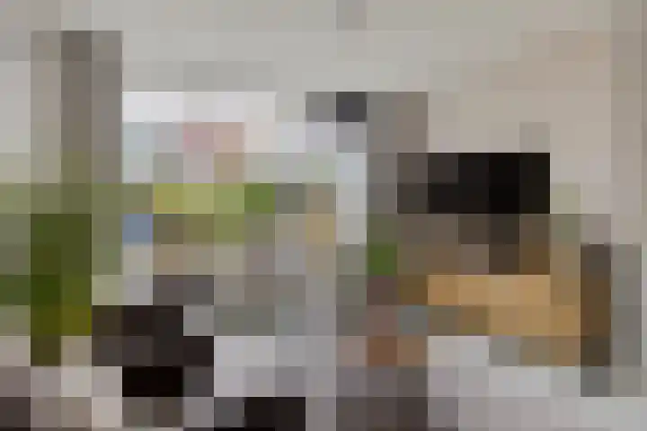 Auwemalaan 63 Leek thumbnail 6