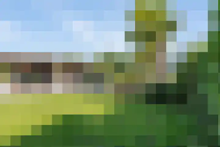 Avegaar 19 Monnickendam thumbnail 32