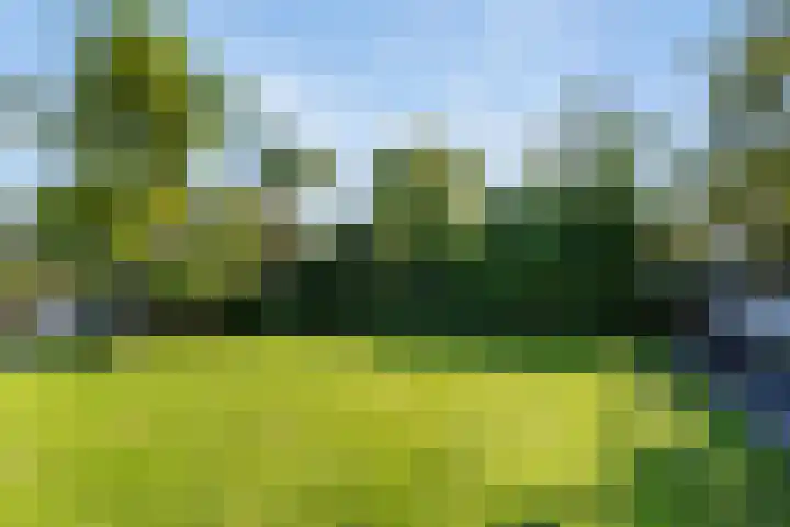 Avegaar 19 Monnickendam thumbnail 34