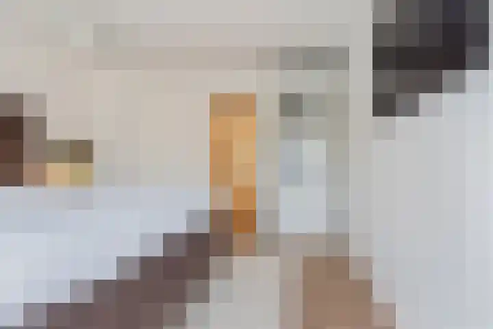 Avegaar 19 Monnickendam thumbnail 47