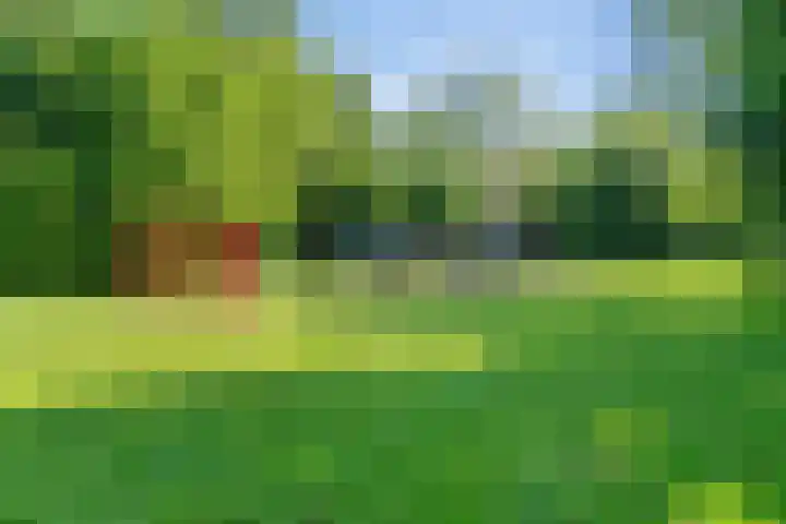 Avegaar 19 Monnickendam thumbnail 65