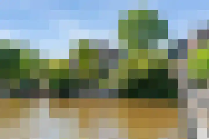 Avegaar 19 Monnickendam thumbnail 8
