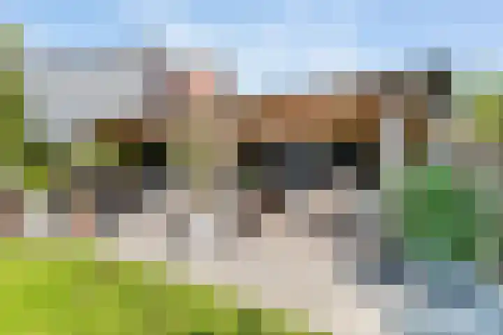 Avegaar 19 Monnickendam thumbnail 9