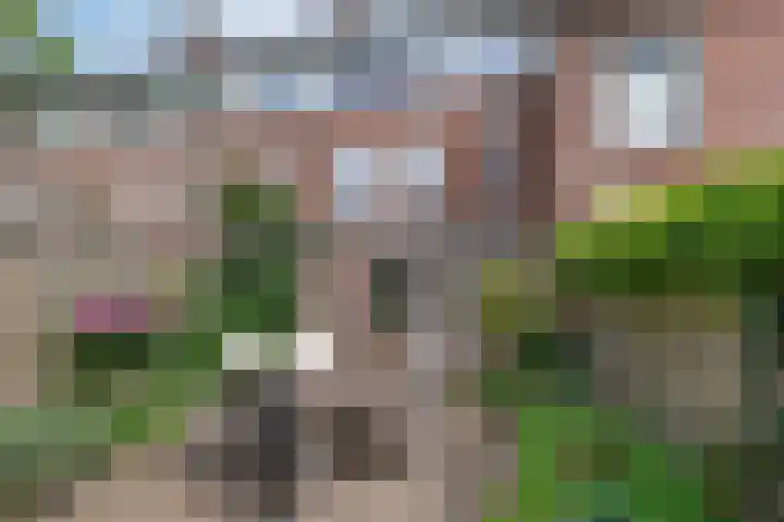 Avenbeeck 6 Hillegom thumbnail 10