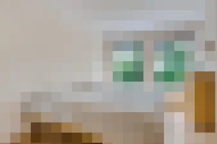 Avenbeeck 6 Hillegom thumbnail 17