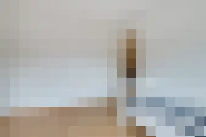 Avenbeeck 6 Hillegom thumbnail 26