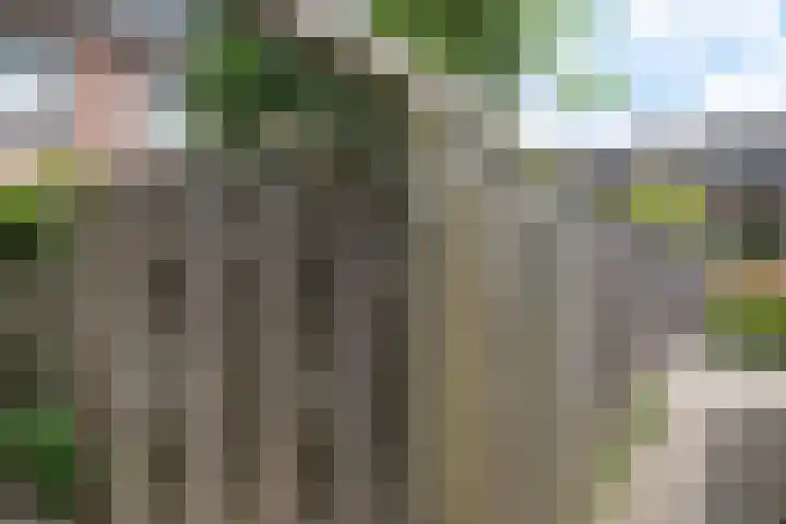 Avenbeeck 6 Hillegom thumbnail 33