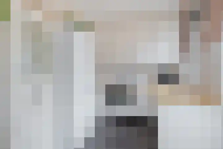 Avenbeeck 6 Hillegom thumbnail 8