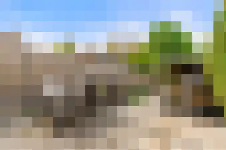 Avenbeeck 91 Hillegom thumbnail 22