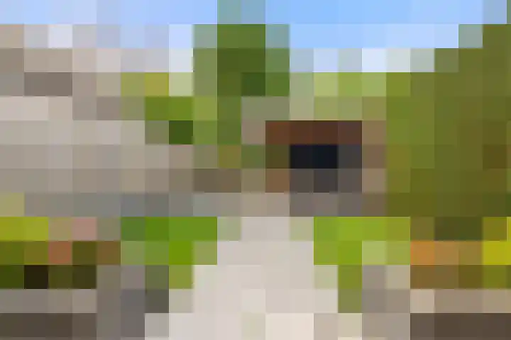 Avenbeeck 91 Hillegom thumbnail 24
