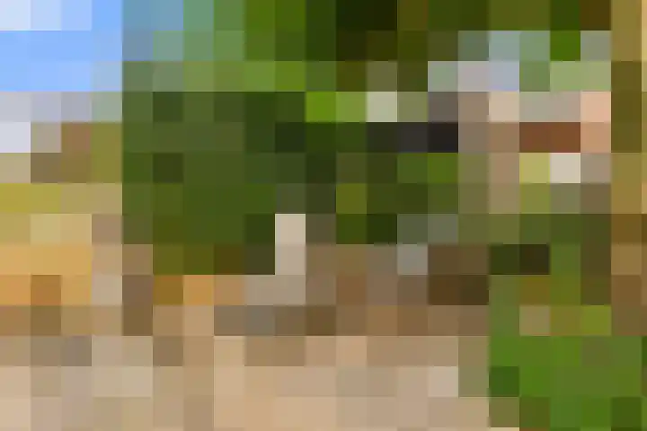 Avenbeeck 91 Hillegom thumbnail 29