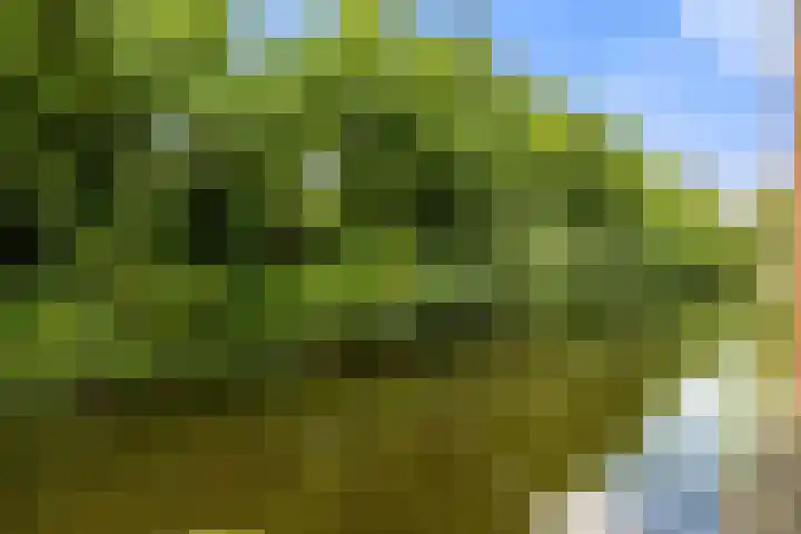 Avenbeeck 91 Hillegom thumbnail 30