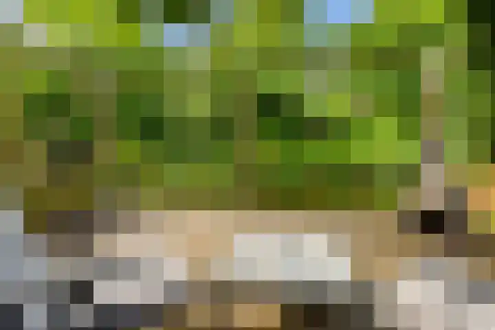 Avenbeeck 91 Hillegom thumbnail 32