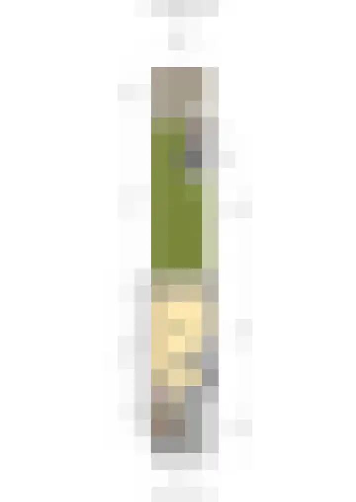 Avenbeeck 91 Hillegom thumbnail 48