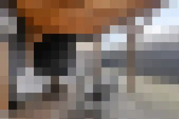 Avenweide 72 Heemskerk thumbnail 25