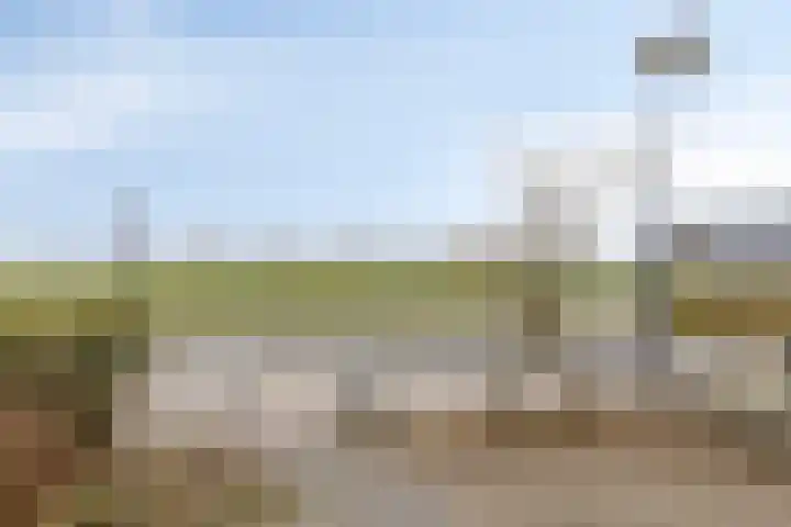 Avenweide 72 Heemskerk thumbnail 26